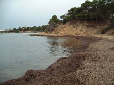 DSCF0033.JPG